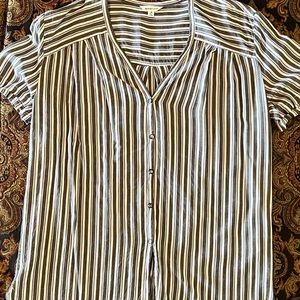 Max Studio—Charcoal gray, blue, and white button down striped